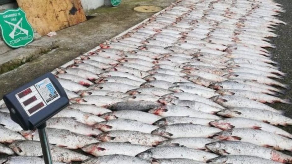 Imagen de contexto. (Foto: Carabineros).