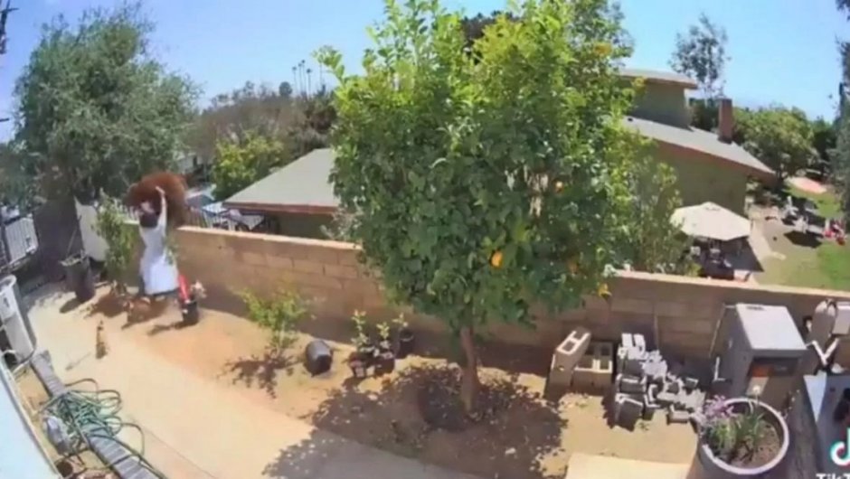 Captura de pantalla.