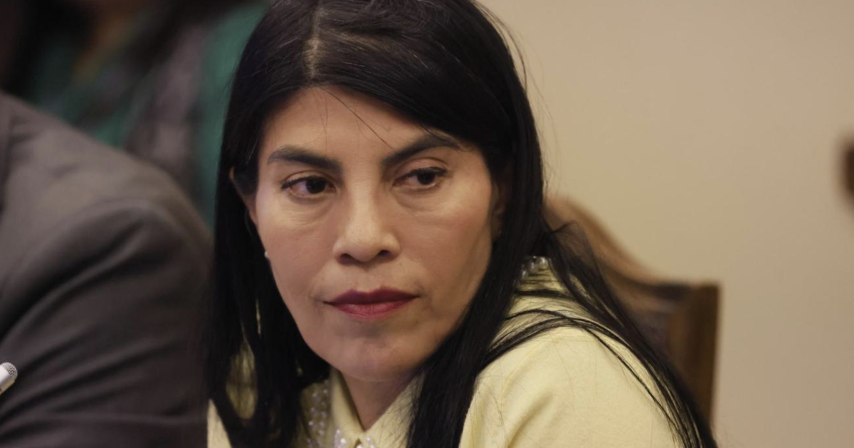 Estudiantes de la UACh quedan en libertad condicional tras agresión a la ministra Lincolao